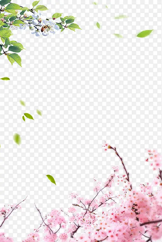 С���»���߿򺣱��߿�-������