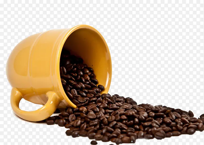 ȸ�����ȶ���Ӱ-������