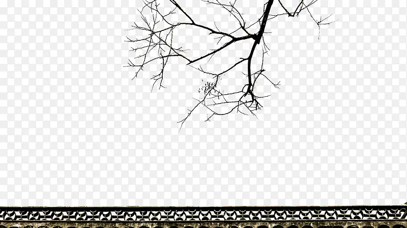 �����ϵ���֦-������