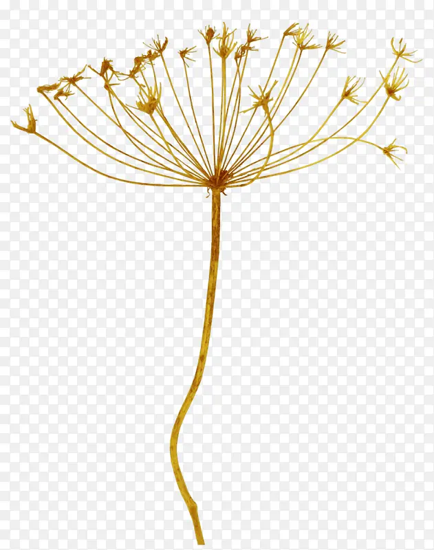 ���տ�ͨС����װ�β廭������-������