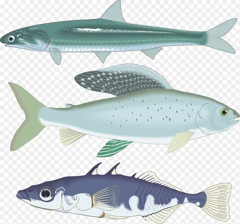 �����ɫʸ��С������ز�-������