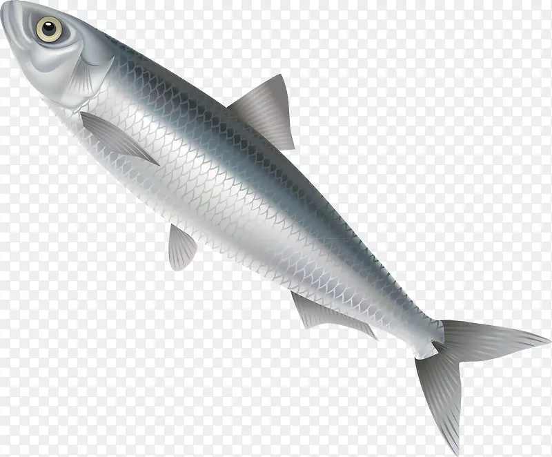 ����װ�����ʸ��-������