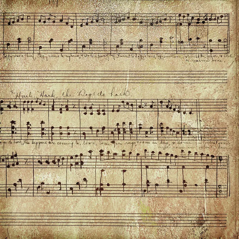 �����ױ���-������