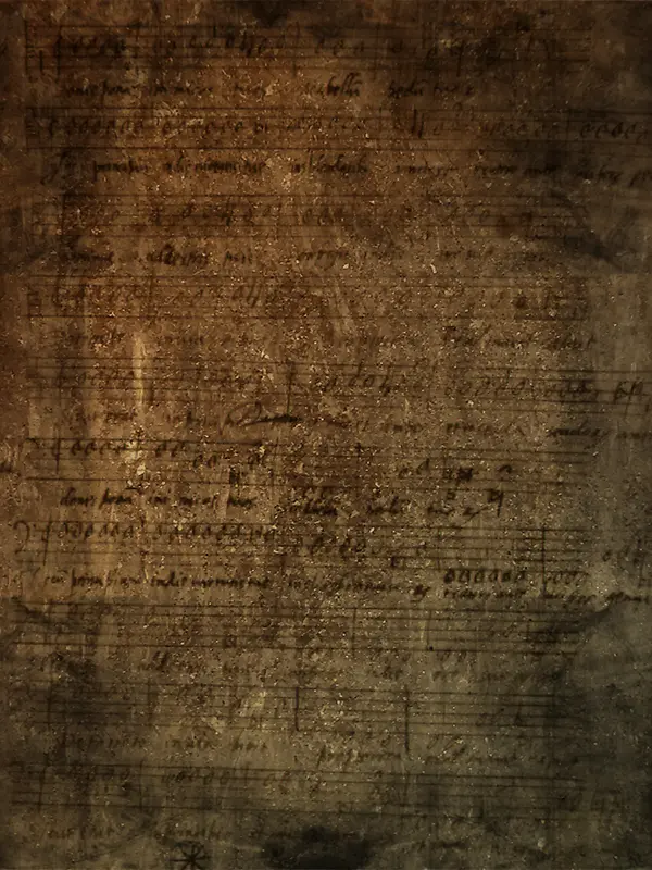 �������ױ���-������