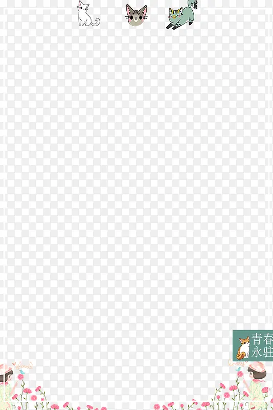 �ɰ���ͨè��������߿�-������