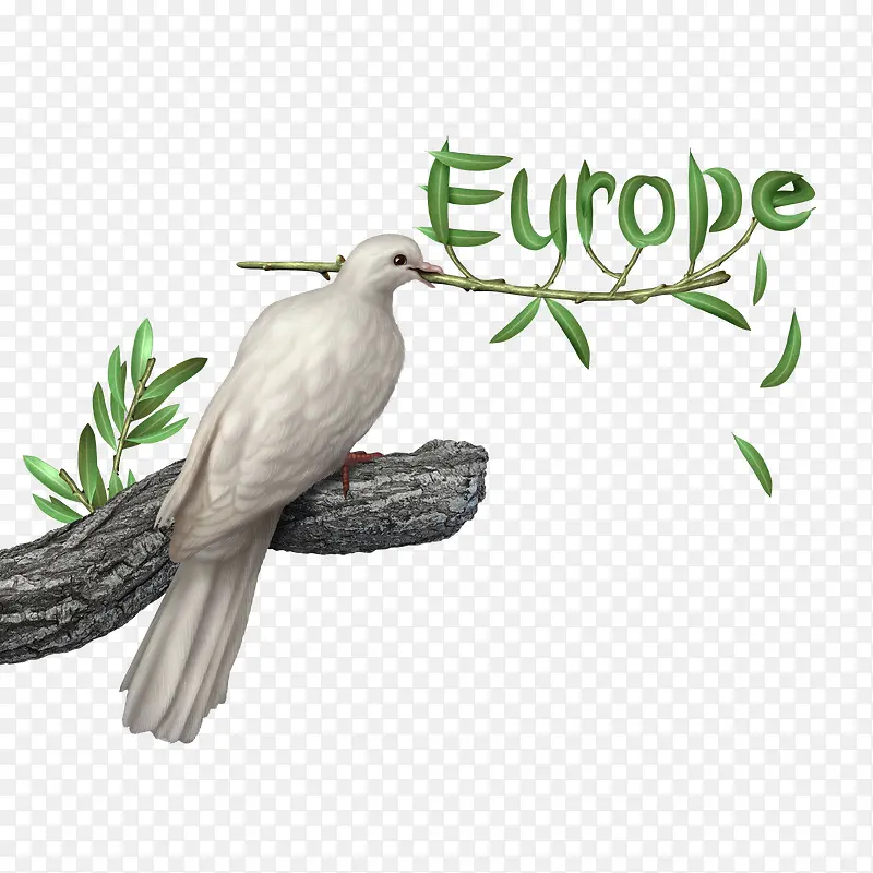 ŷ��-������