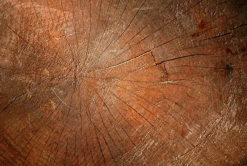 ��׮��������-������