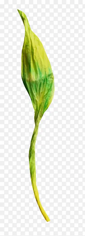 С��-������