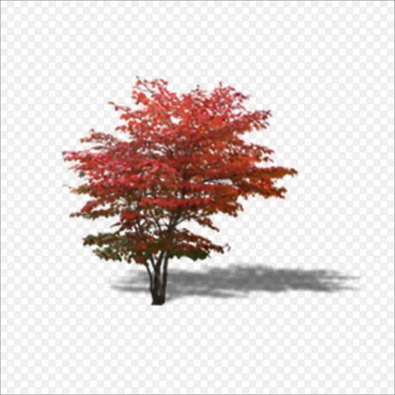 �컨��-������