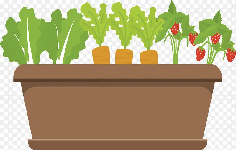 ���ڻ���������߲�-������