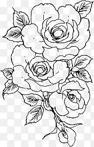 �ֻ滨-������