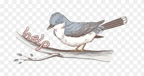 ����Գ����ֻ�ɰ�-������