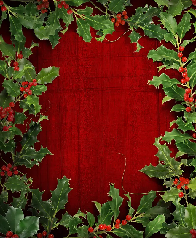 ʥ��ϲ���ز�-������