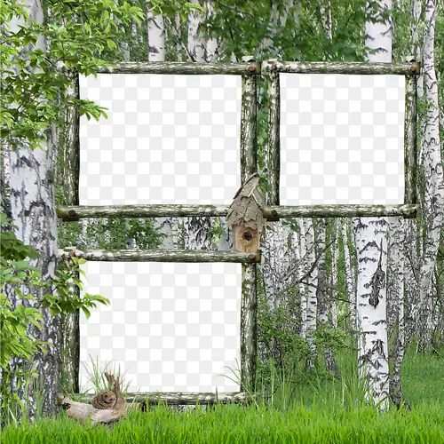 ��Ҷ�̲�ǽ�ڱ߿�-������