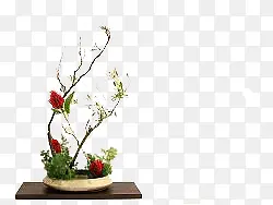 ֲ��-������