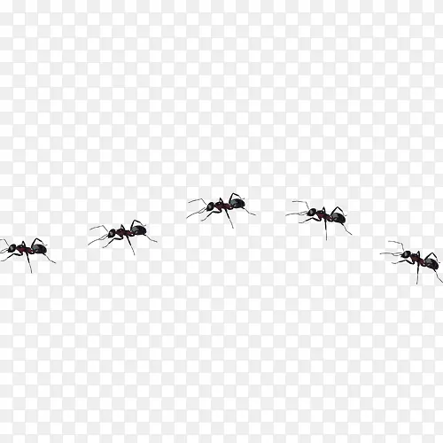 ����-������