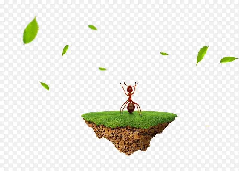 ����Ԫ��-������