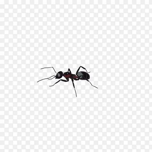 ����-������