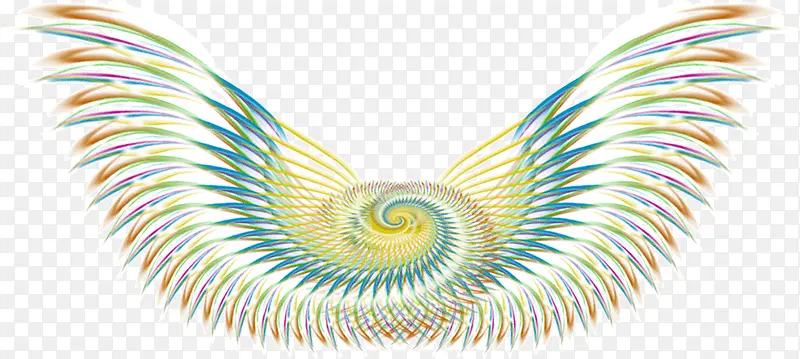 Ư���߲ʳ��-������