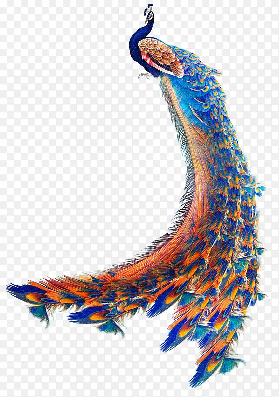 �ֻ��ȸ-������