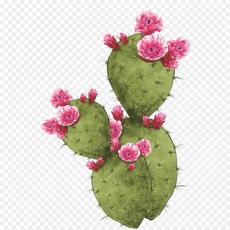 �����png�ز�-������