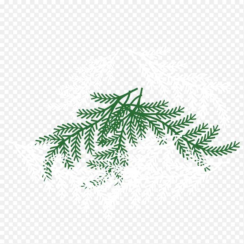 �ɰ���֦ʸ���ز�-������