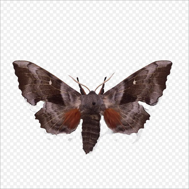 �ɶ�-������