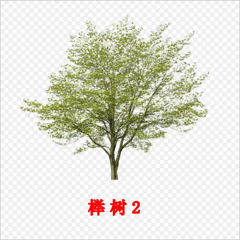 ���-������