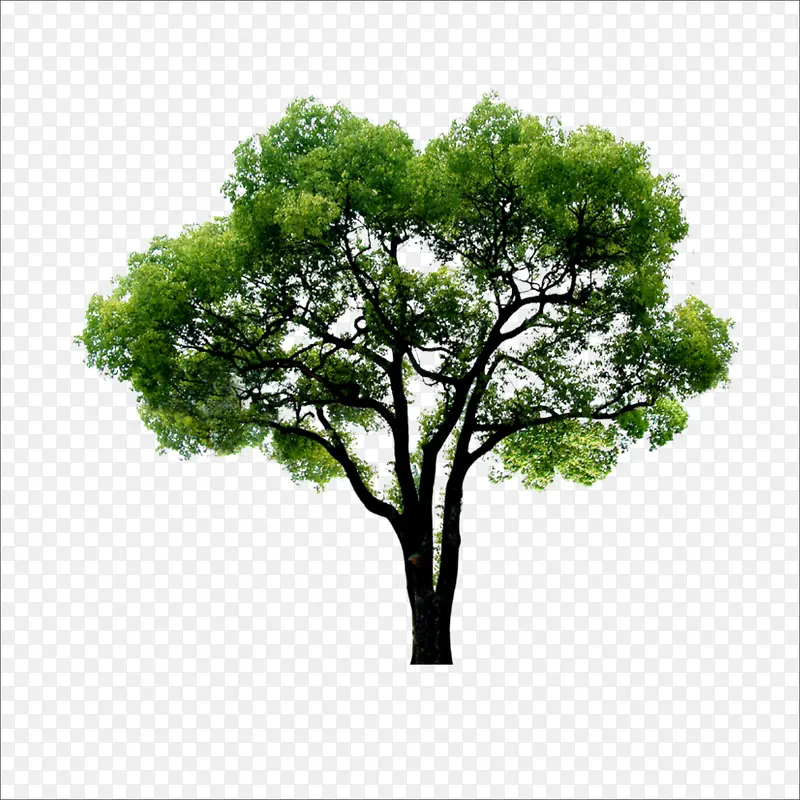 ����-������