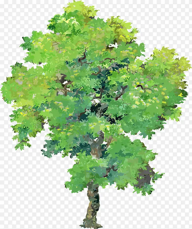 ʸ����Ҷ�ϻ�������ز�-������