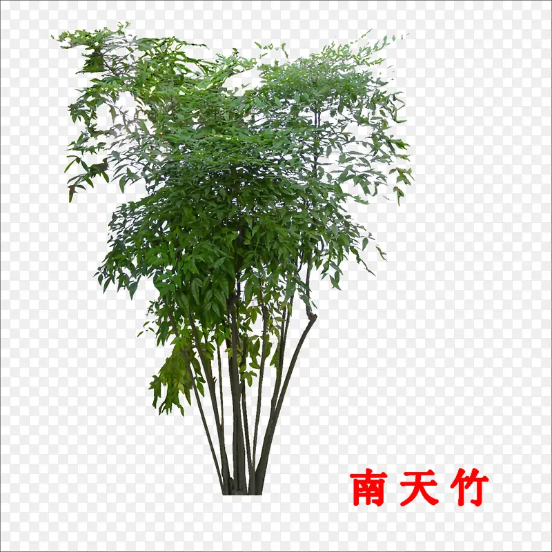 ������-������