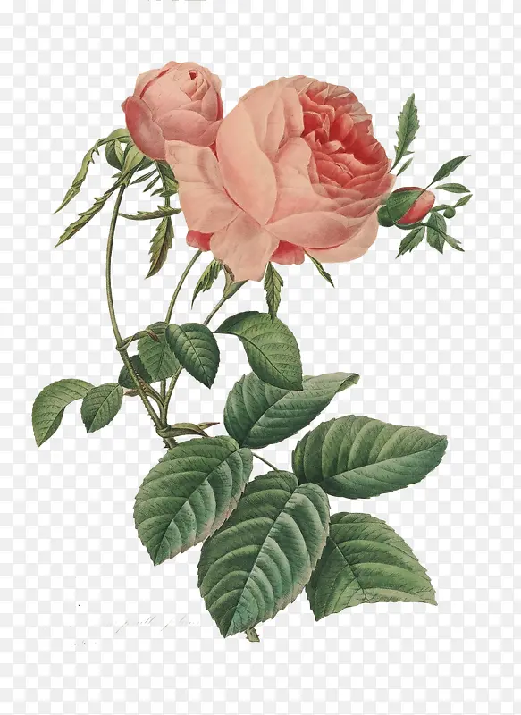 ����ʢ���¼�-������