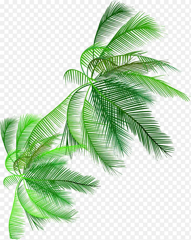 ϡ������ز�-������