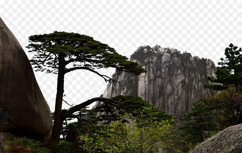 ��ɽӭ���ɷ羰��Ӱ-������