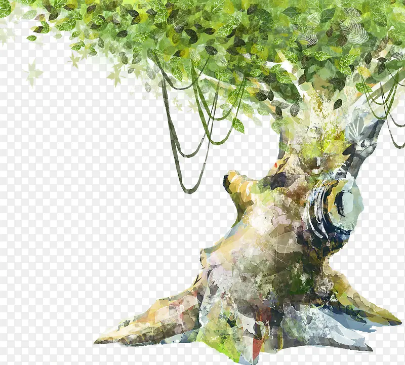 ������ɫֲ���ֻ�-������