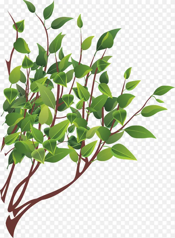 �ļ�����Ҷ��PNGʸ���ز�-������