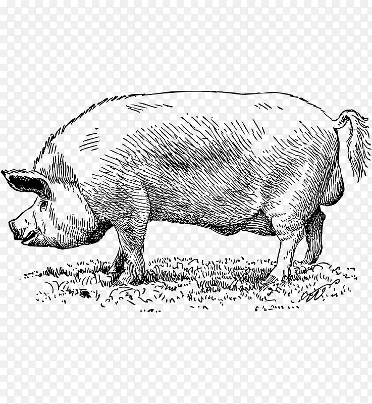 �ֻ�-������