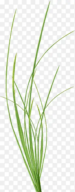 �̲�-������