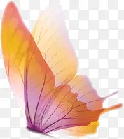 ����-������