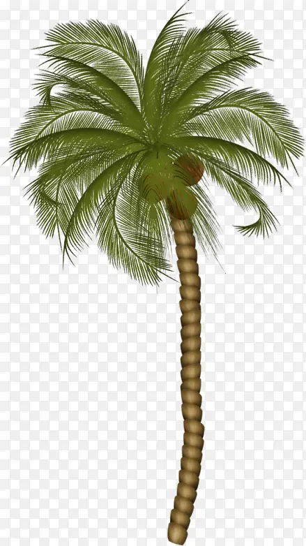 Ҭ����-������