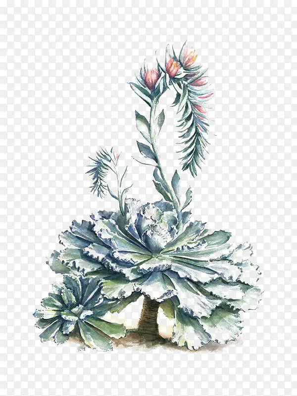 ֲ��廭-������