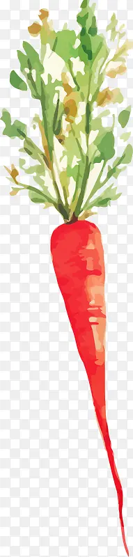 �ֻ���ܲ�-������