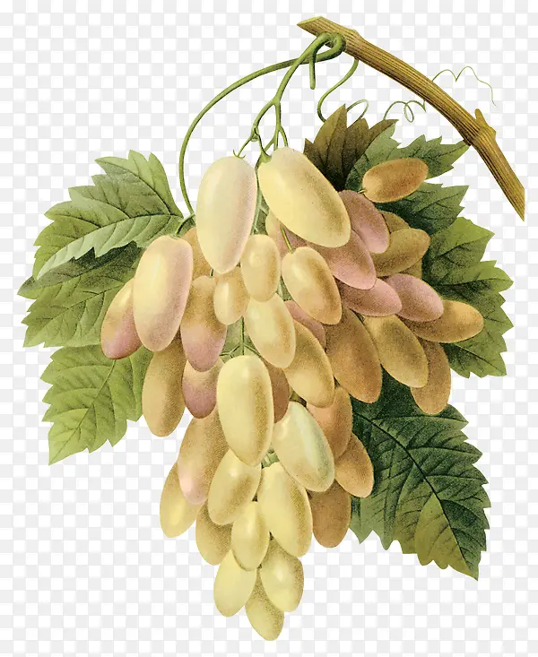 ��ɫ�������ֻ�-������