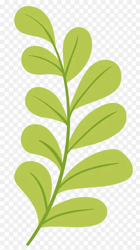 ��Ҷ֦��-������