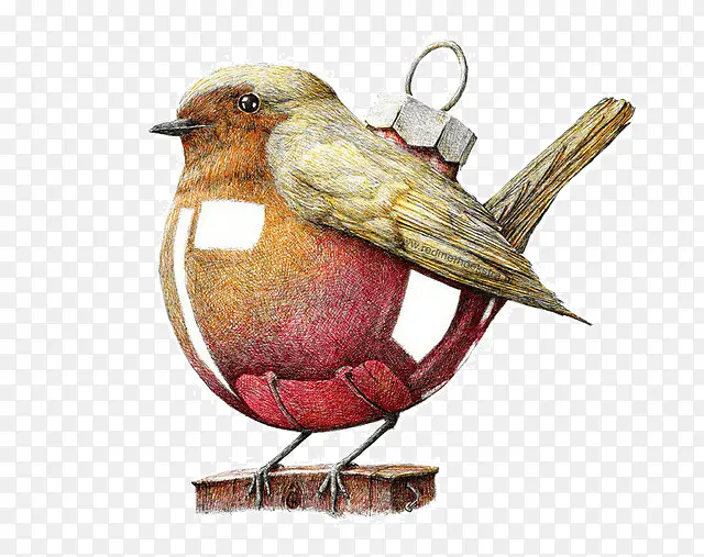 ���������廭������-������