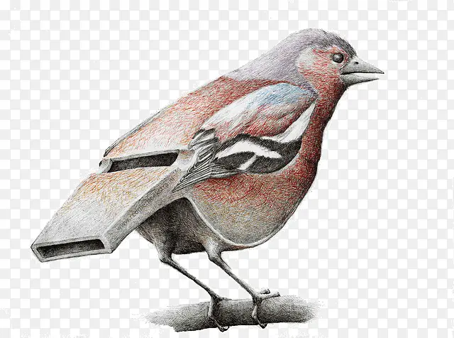 ������廭�������-������