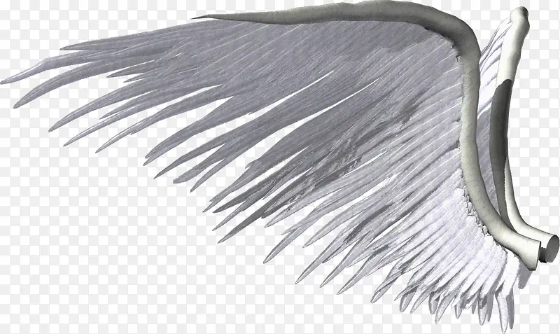 �����-������