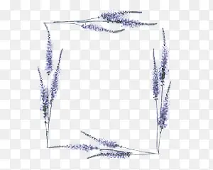 �ֳ�������-������