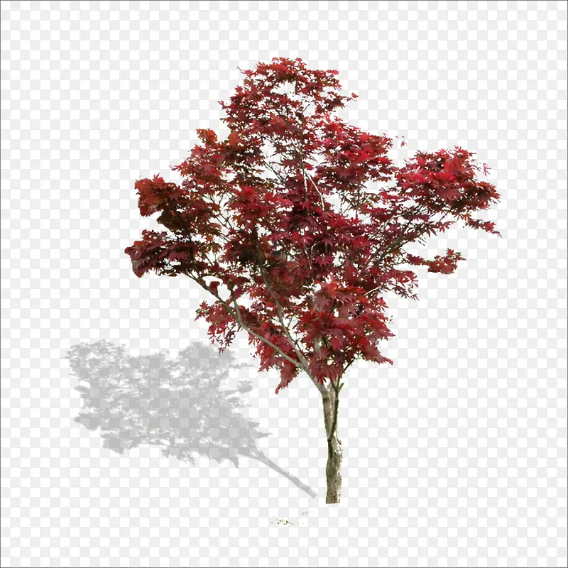 ����-������