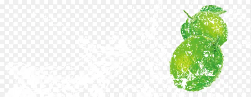 ��ɫ��÷ʳ�������ʵ-������